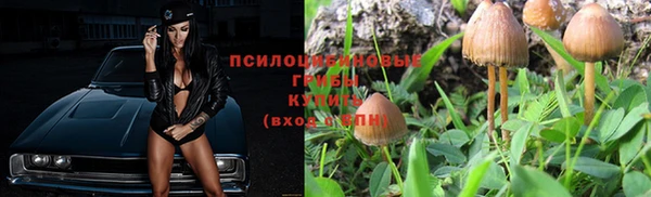 крисы Нея