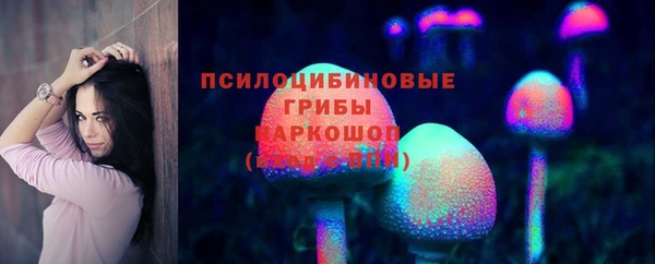 хмурый Алексин