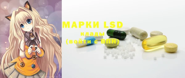 хмурый Алексин