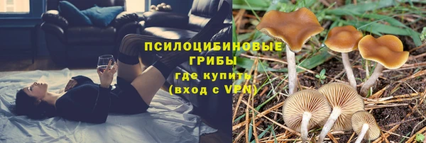 мет Алзамай